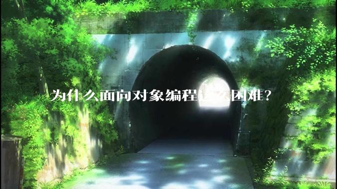为什么面向对象编程这么困难？